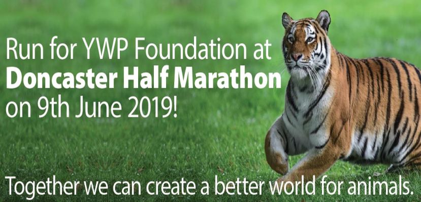 Run for WildLife Foundation at Doncaster Half Marathon