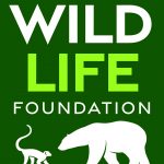 Volunteer for WildLife Foundation