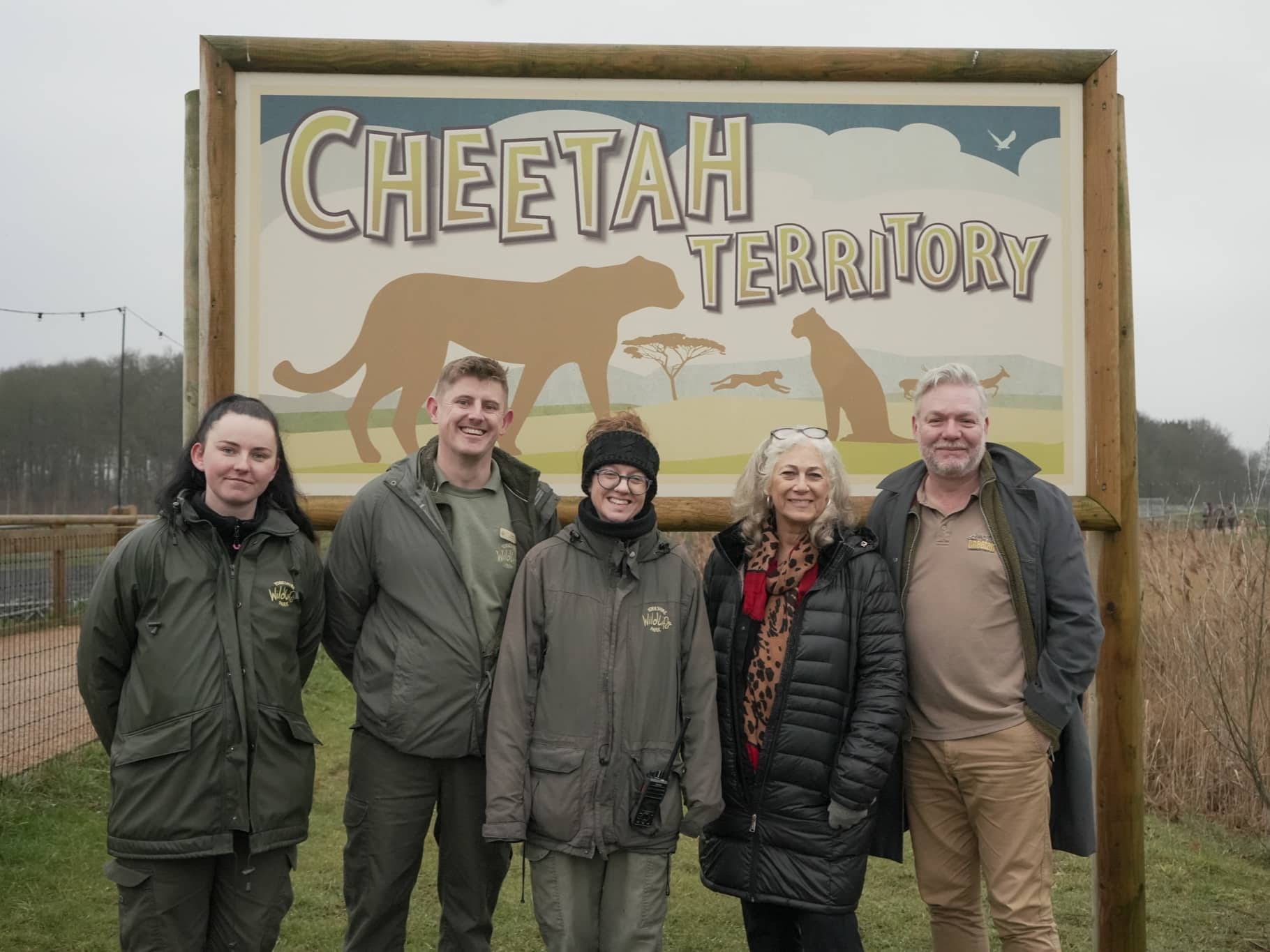 Returning Cheetahs to The Wild